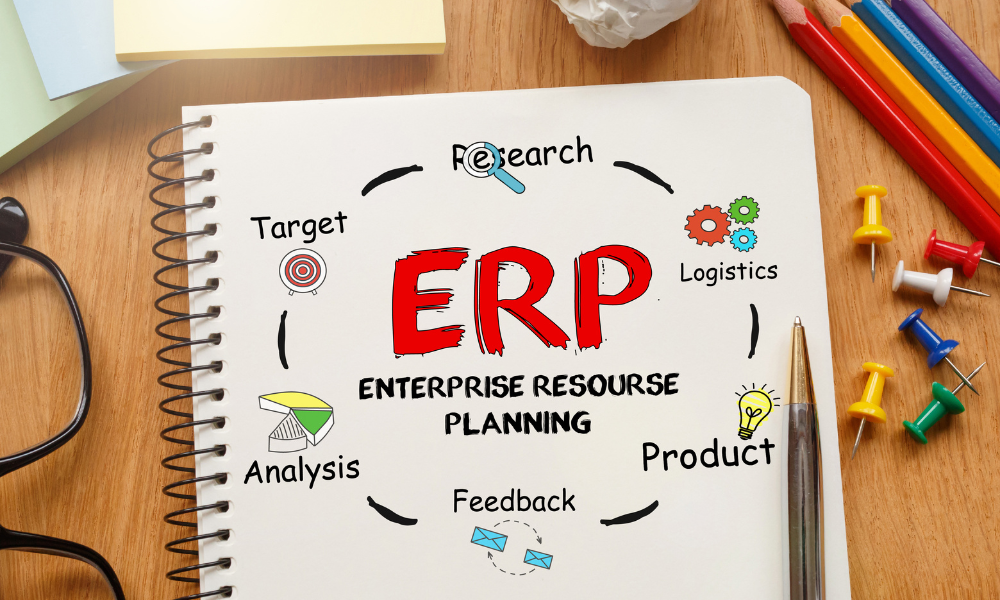 What are the 5 components of ERP?